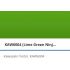 DK Sprej Kawasaki Lime Green Ninja dvouvrstvá 2CT 6004 390ml